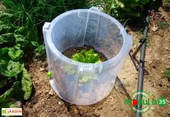 Modul'o Rehausse Pour Cloche Potagère à Forcer Modulo ø35 Cm (lot De 3) -Jardinage Soldes rehausse cloche potagere mini serre modulo 35 2