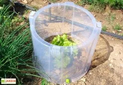 Modul'o Rehausse Pour Cloche Potagère à Forcer Modulo ø35 Cm (lot De 3)