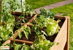 Ekju Carré Potager En Bois Autoclave Sur Pieds 120 X 80 Cm H. 88 Cm - Ventspils -Jardinage Soldes separateur bac potager bois ekju 253478