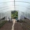 Serre Tunnel Tonneau En Polyéthylène 42 M² - 4 Saisons 10,5 X 4 M -Jardinage Soldes serre 4 saisons 900 1