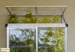 Canopia Serre Adossée En Aluminium Et Polycarbonate Lean To (63,5 X 125 Cm) 11 Canopia Serre Adossée En Aluminium Et Polycarbonate Lean To (63,5 X 125 Cm) -Jardinage Soldes serre adossee aluminium polycarbonate lean to 63 5 x 125 cm 2