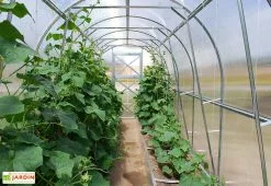 Westmann Serre De Jardin Tunnel En Polycarbonate Et Acier -Jardinage Soldes serre jardin tunnel interieur