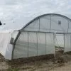 Serre Professionnelle Richel En Acier Et Polyéthylène 8 X 20 M
