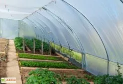 Tonneau Serre Tunnel En Acier Et Polyéthylène Bretagne Avec Aérations – Largeur 5,80 M -Jardinage Soldes serre tunnel acier polyethylene bretagne aerations largeur 580m