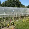 Serre Tunnel Tonneau En Polyéthylène 39 M² - Mini 10,5 X 3,7 M -Jardinage Soldes serre tunnel mini tonneau polyethylene 10 5m