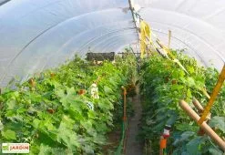 Tonneau Serre Tunnel En Acier Et Polyéthylène Flandre Avec Aérations – Largeur 3,70 M -Jardinage Soldes serre tunnel tonneau acier polyethylene flandre largeur 370m 1