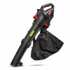 Elem Garden Souffleur De Feuilles, Aspirateur Et Broyeur électrique 3000 W