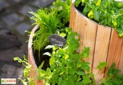 Westmann Spirale Aromatique – Jardinière En Bois De Mélèze Ø55 Cm 10 Westmann Spirale Aromatique – Jardinière En Bois De Mélèze Ø55 Cm -Jardinage Soldes spirale aromatique jardiniere bois 55cm