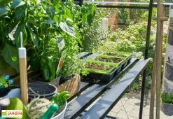 Table De Jardinage Aluminium Pour Serre Halls Qube 610 (64 X 306 Cm)