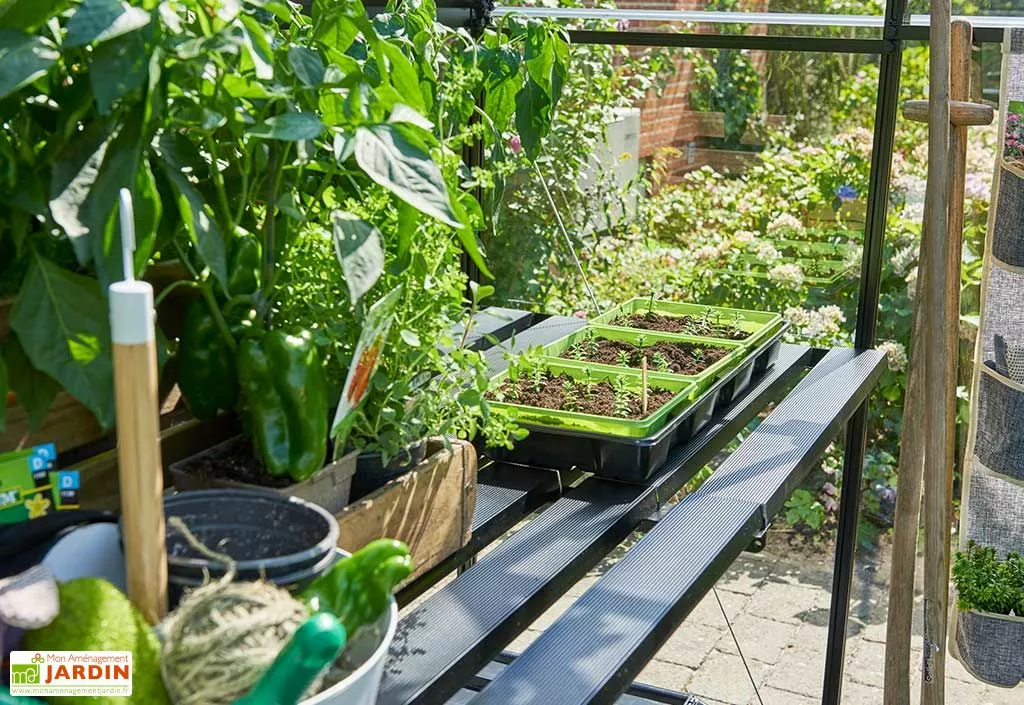 Table De Jardinage Aluminium Pour Serre Halls Qube 610 (64 X 306 Cm) 3 Table De Jardinage Aluminium Pour Serre Halls Qube 610 (64 X 306 Cm)