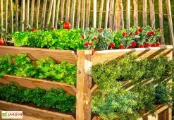 Westmann Tour De Culture Verticale En Bois De Mélèze 91 X 124 X 73 Cm -Jardinage Soldes tour culture bois meleze