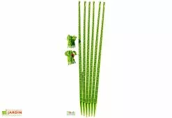 Lot De 6 Tuteurs Avec Attaches 180 Cm - Mikado -Jardinage Soldes tuteur jardin vert
