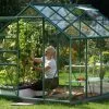 Serre De Jardin En Verre Trempé Lams 4,9 M² - Allium Vert -Jardinage Soldes venus 5000 verte